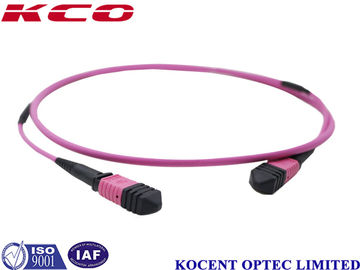 0.2dB Insertion Loss MPO MTP Trunk Cable OM4 3m 5m 10m 50 / 125 Core LSZH Violet