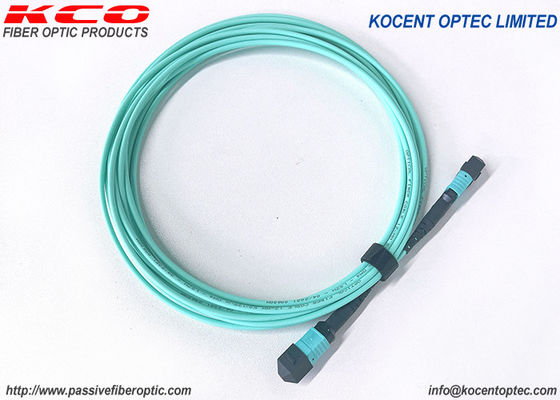Elite Low Loss 8fo OM3 OM4 MPO MTP Trunk Fiber Patch Cable and MPO MTP Patch Cord for Data Centers