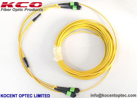 MPO APC 24fo 48Cores G657A1 نخبة إدراج خسارة MTP ألياف ضوئية كابل التصحيح الجذعي